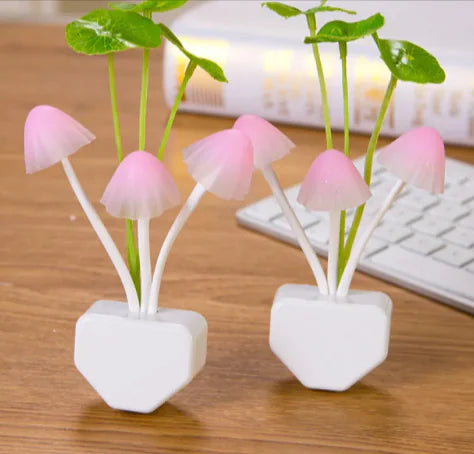 NeoVia´s Mushroom Night Light